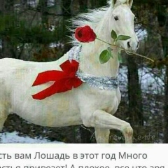 Даулетхан Бакытжан, 28.08.2003, Шалкар