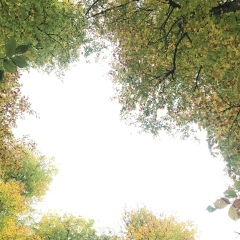 Наталья Ивахненко, 09.10