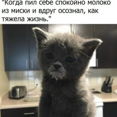 Ренат Муратов, 23.02