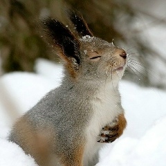 Андрей Ковальчук, 08.06.1990, Киев