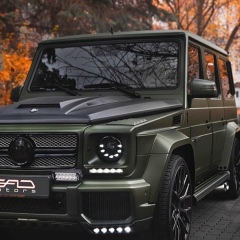 Амир Каримов, 06.07.1993