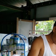 Lynnwaizaw St, 21.10.1983, Yangon