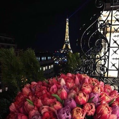 Anastasiya Valerievna, 19.12.1983, Днепр (Днепропетровск)