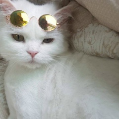 Александр Фриманов-Фриман-Фриманович, 25.01.2000, Berlin