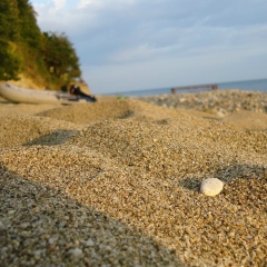 Андрей Капитонов, 16.04.1986, Ульяновск
