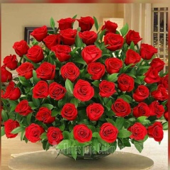 Жанар Джалгасын