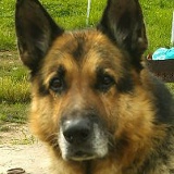 Руслан Меджидов, 01.06, Архангельск