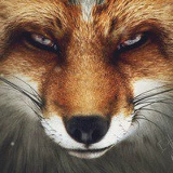 Alikhan Toybaev, 17.06.1995, Алматы