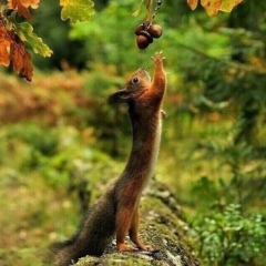 Юльчик Личман-Бедняк, 06.10.1989, Днепр (Днепропетровск)