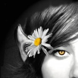 Sarvana Sana, 26.06.1991, Москва