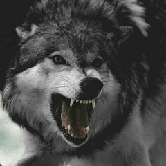 Давид Давид, 01.01, Москва