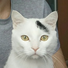 Евгений Косяк, Екатеринбург