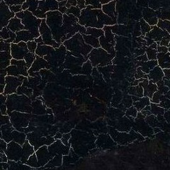 Тамара Останина, 01.05.1989, New York City