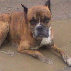 Иван Леонтьев, 02.08.1986, Сатпаев