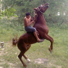 Dursun Hosen-Ogly, 03.03, Алматы