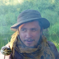 Андрей Нетелев, Москва