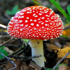 Катерина Скоц, 23.05, Томск