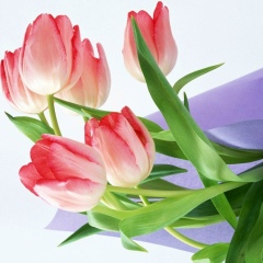 Азиза Мохинур, 15.10.1975, Бухара