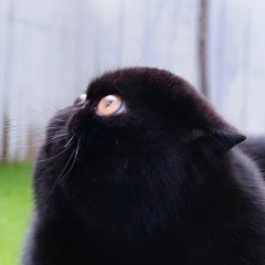 Мария Иванова, 01.11, Москва