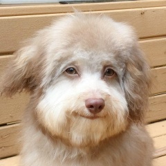 Сергей Пашков, 25.07, Челябинск