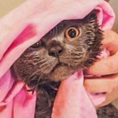 Dairbek Beishebaev, 30.05.1997, Каракол