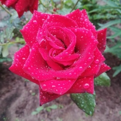 Татьяна Семерникова, 17.02.1985