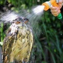 Костик Игнатьев, 28.11.1983, Воронеж