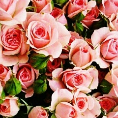 Алия Аббасова