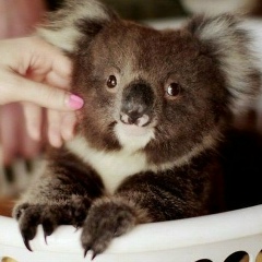 Ilya Mezentsev, 09.04.1989, Санкт-Петербург