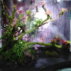 Robin Wong, 21.10.1984, Xiamen