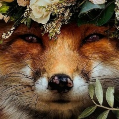 Анна Теплова, Токмок