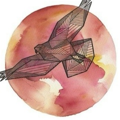 Адиль Алиаскаров, 16.03, Алматы