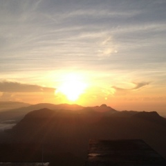 Алексей Горбенко, 03.01, Львов