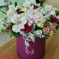 Юлия Лесная, 26.03, Армавир