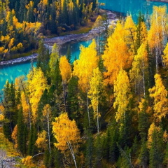 Наталия Дронова, 28.06, Тамбов