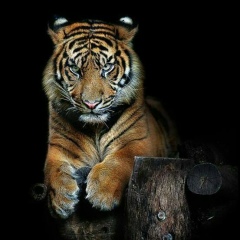 Ерлан Исмаилов, 02.05