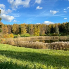 Екатерина Рыжикова, Москва