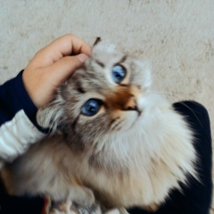 Ануар Сланбеков, 23.04, Шымкент