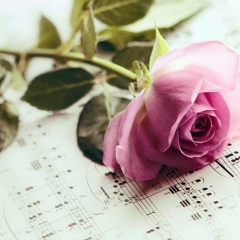 Клара Цеткин, 13.09.1974