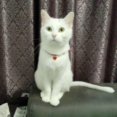 Руслан Караханов, 24.09, Каспийск