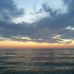 Рашид Мисирбиев, 25.08.1989, Грозный