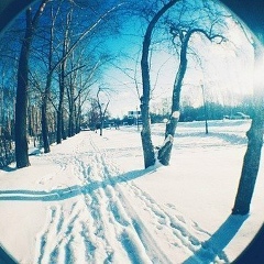 Гриша Пронин, 27.11, Подольск