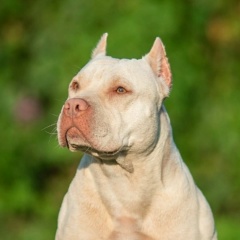 Екатерина Ефименко, 10.03, Санкт-Петербург