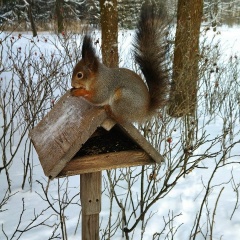 Константин Кузин, 22.01.1977, Санкт-Петербург