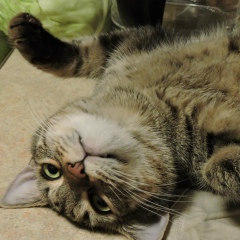 Елена Серёгина, 04.10, Москва