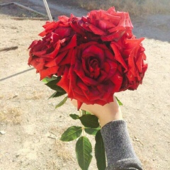 Альмира Исабаева, Семей