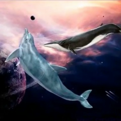 Светлана Бахтерова, 25.02, Москва