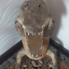 Сергей Воронецкий, 28.06.1982, Томск