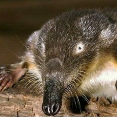 Андрей Прокофьев, 12.02.1971, Санкт-Петербург