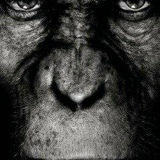 Масхуд Масхудов, 08.02.1993